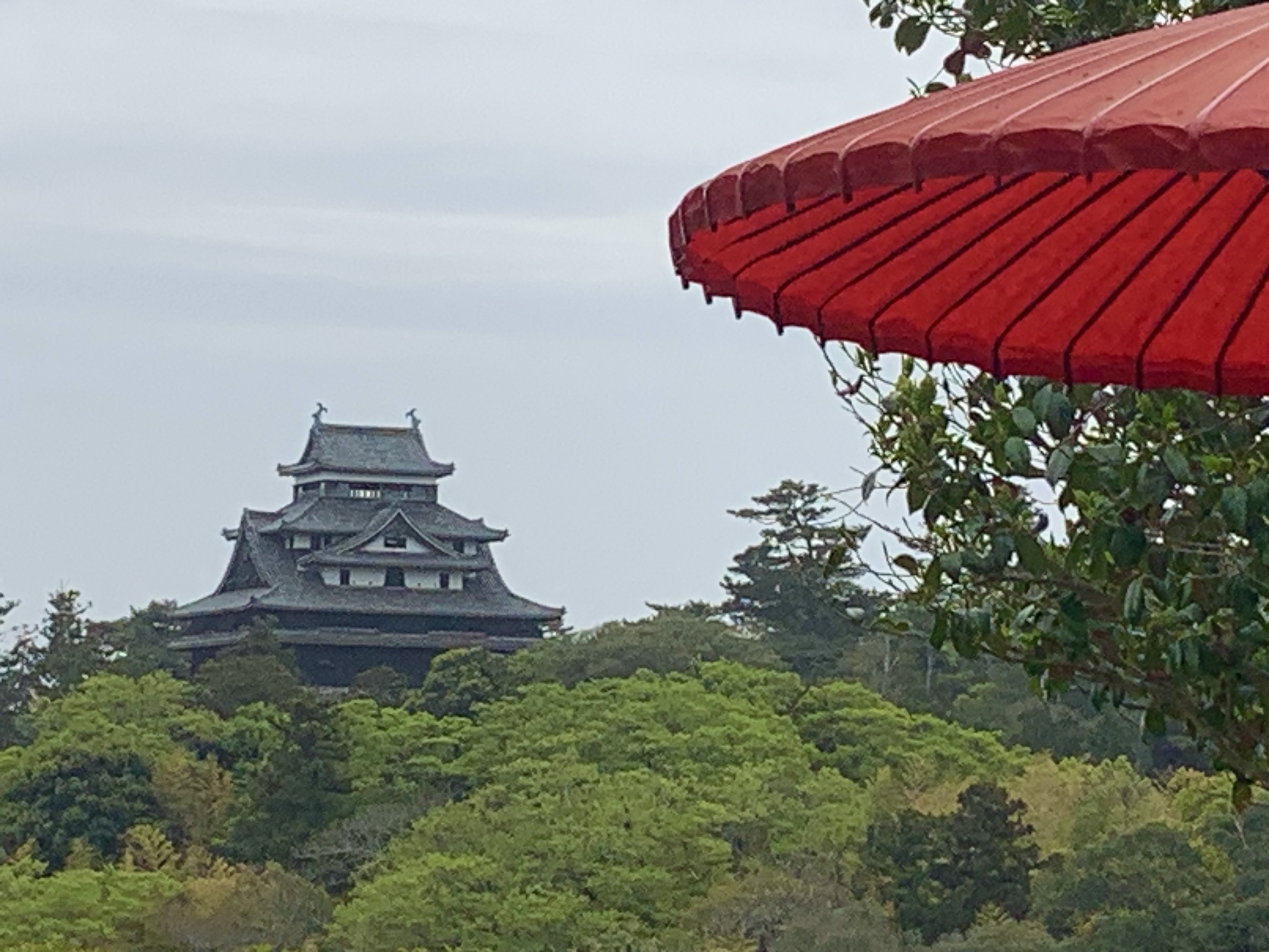 「明々庵」では 松平のお殿様気分で 一服