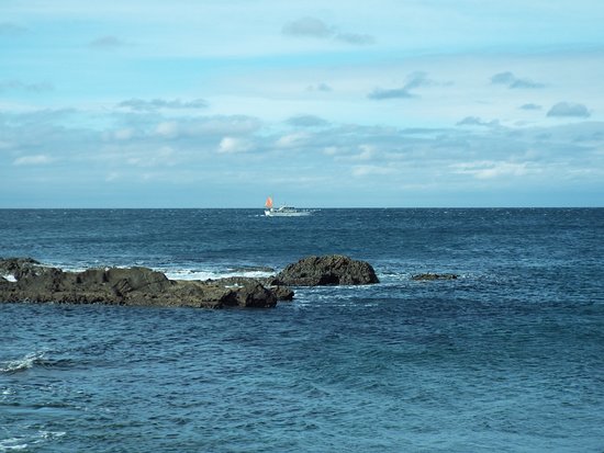 大潮海岸からの景色