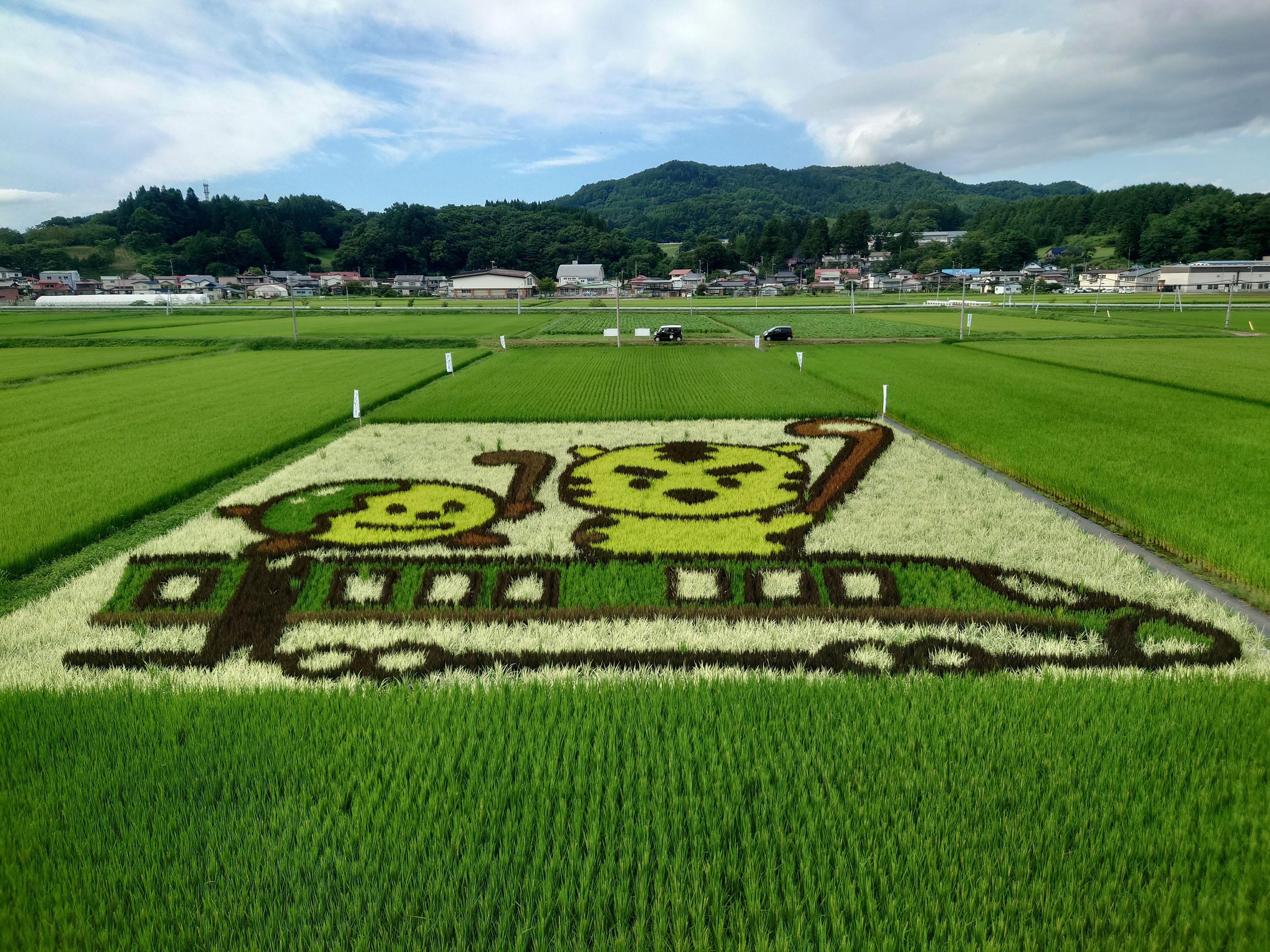 2022年の田んぼアートです。