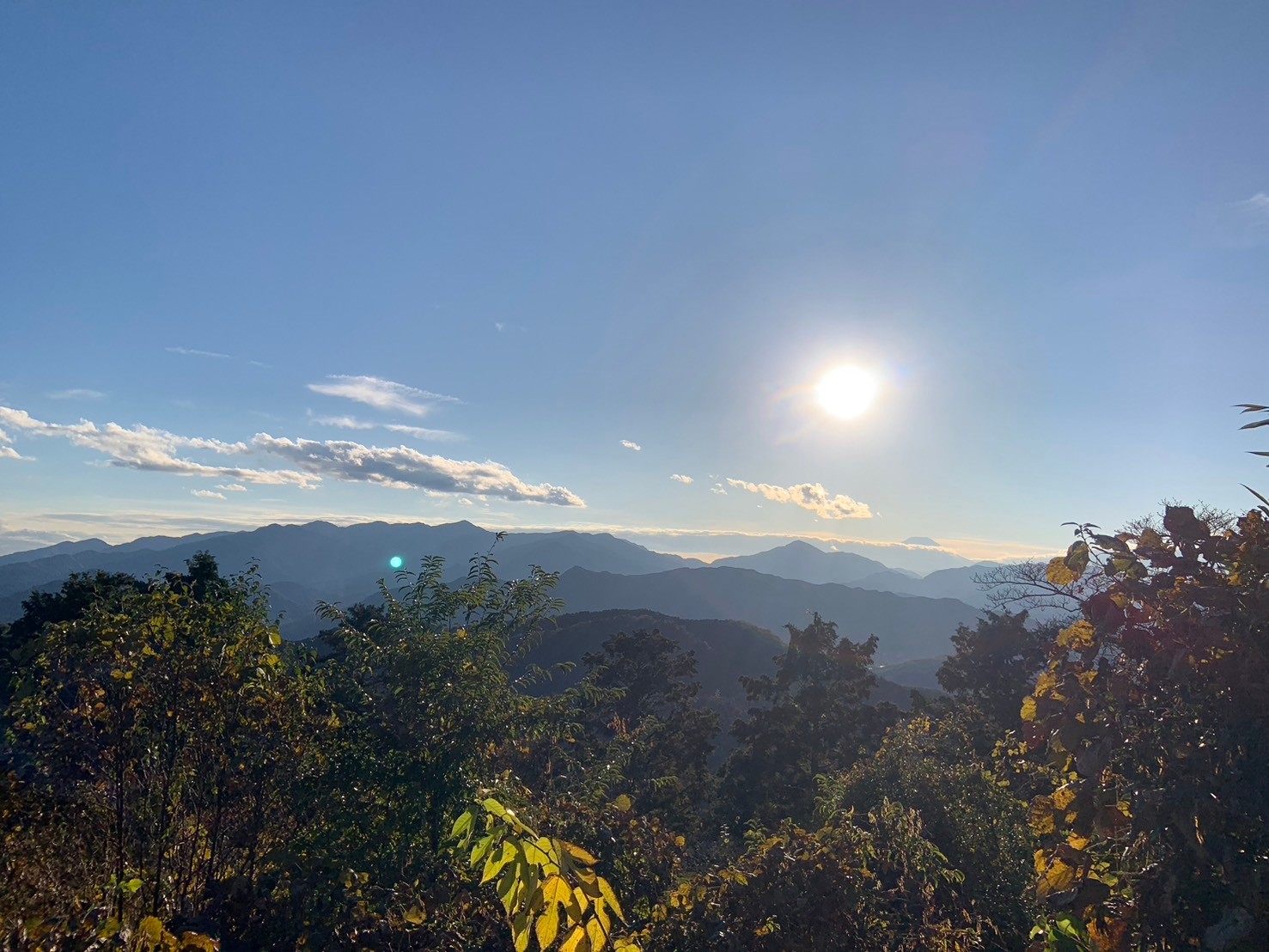 秋の高尾山！