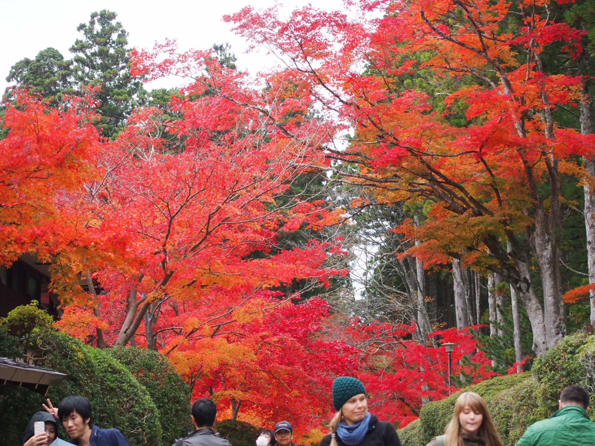 秋の高野山