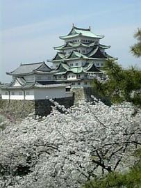 桜の名古屋城 マサさん