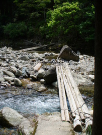 狗留孫峡上流の神社登山口の丸木橋です。 ゆゆさん