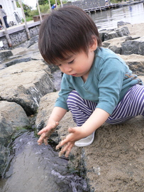 蛇の目ビーチで砂遊び♪ wachikoさん