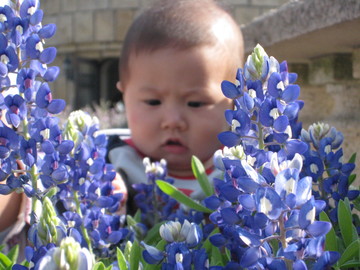 綺麗な花も沢山です♪ 祥太郎パパさん