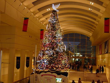 2006のクリスマスツリーです くささんさん