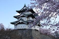 ～母が夢にまで見た弘前城の桜～