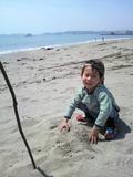 桂島の砂浜にて貝拾い中