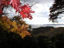 松島の秋