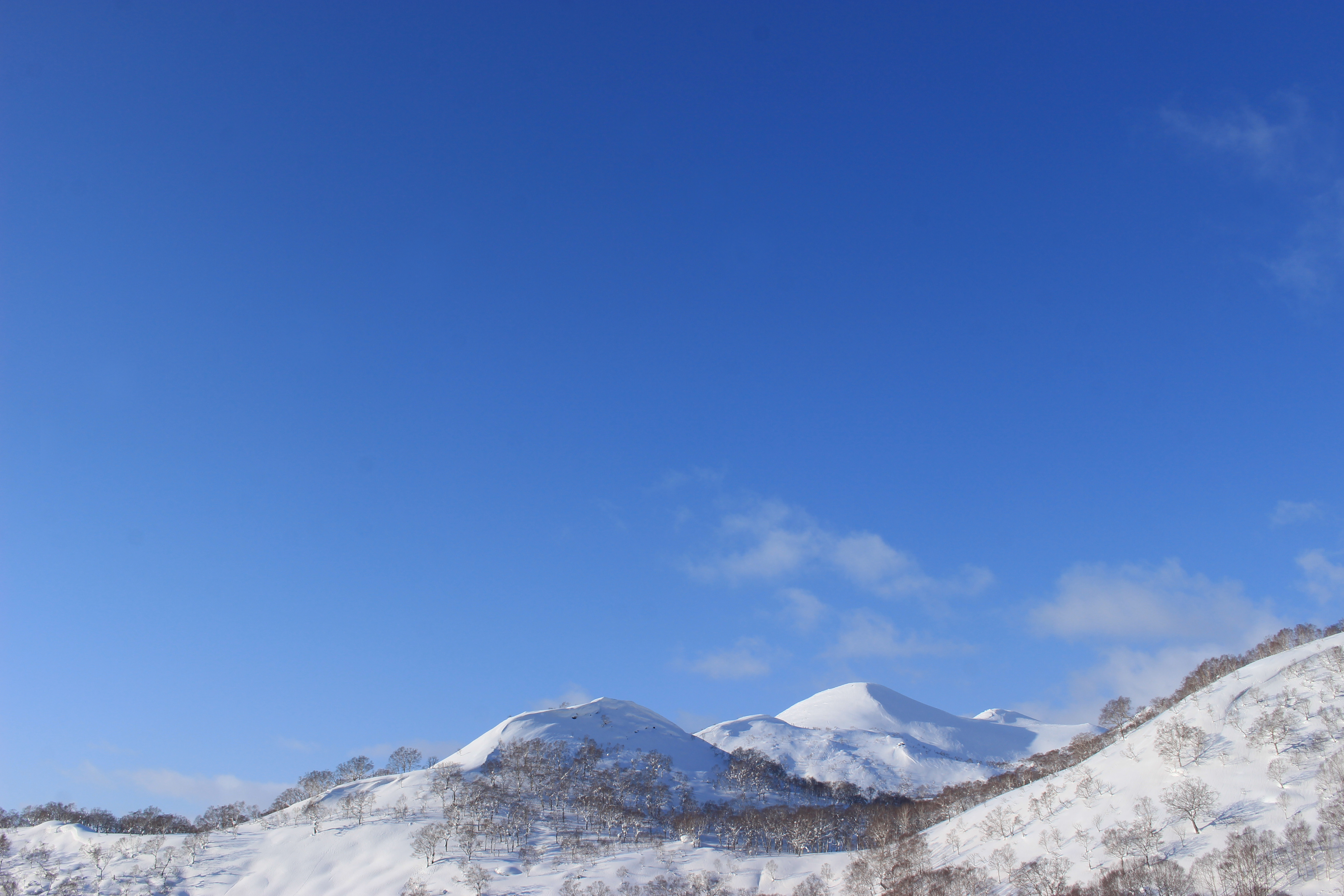 ニセコの雪山